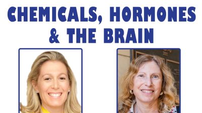 Chemicals, Hormones & The Brain with Andrea Gore, PhD – The Smart Human Podcast #50 Cover image for Chemicals, Hormones & The Brain with guest Andrea Gore, PhD